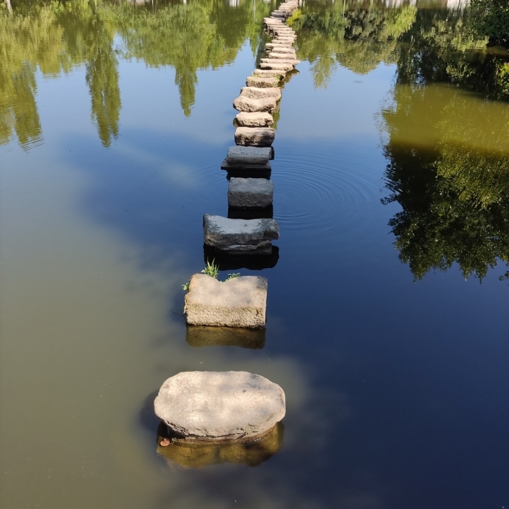 batendolatas.bsky.social