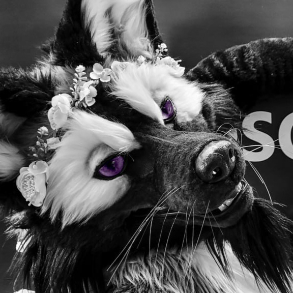 Sebastian Silverfox