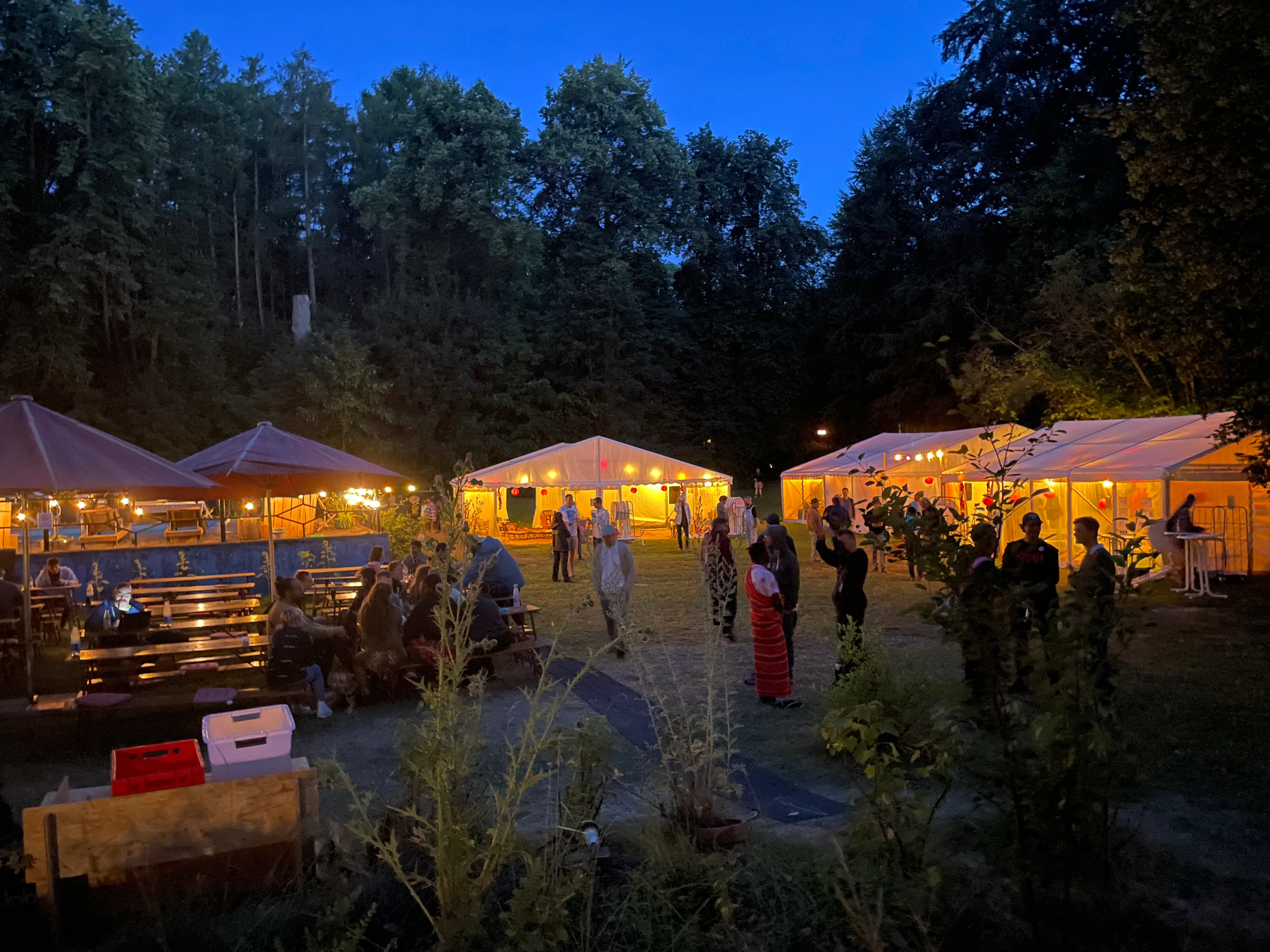 Surrounded by forest, marquee tents lit by festoons at dusk, people chatting
